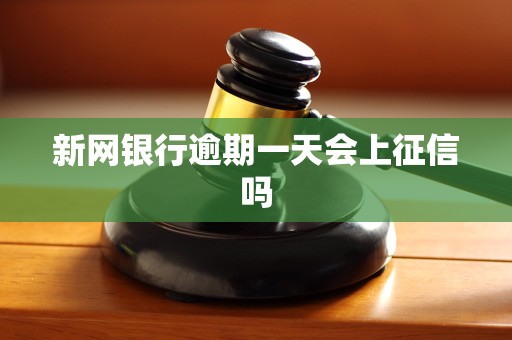 新网银行逾期一天会上征信吗 新网银行逾期一天会上征信吗