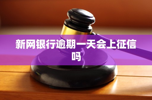 新网银行逾期一天会上征信吗 新网银行逾期一天会上征信吗