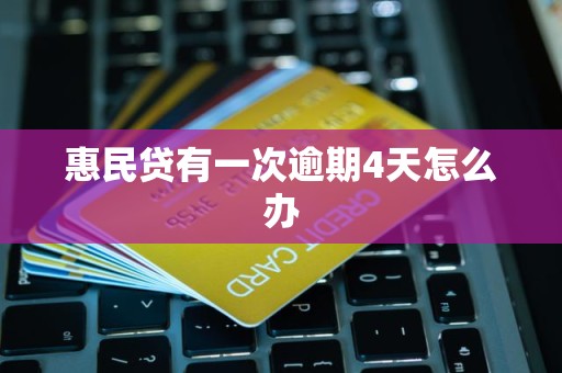 惠民贷有一次逾期4天怎么办 惠民贷有一次逾期4天怎么办