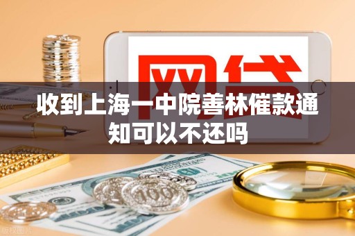 收到上海一中院善林催款通知可以不还吗