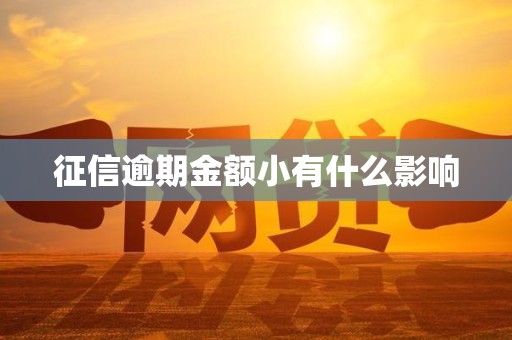 征信逾期金额小有什么影响
