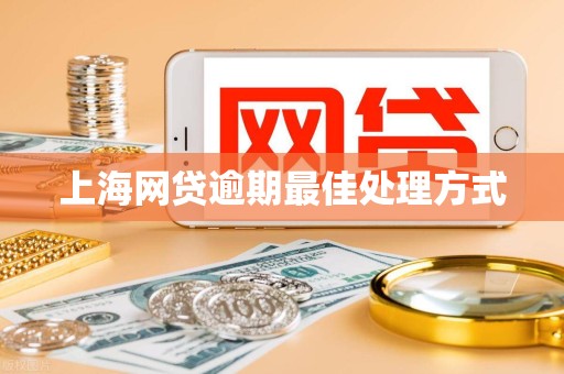 上海网贷逾期最佳处理方式