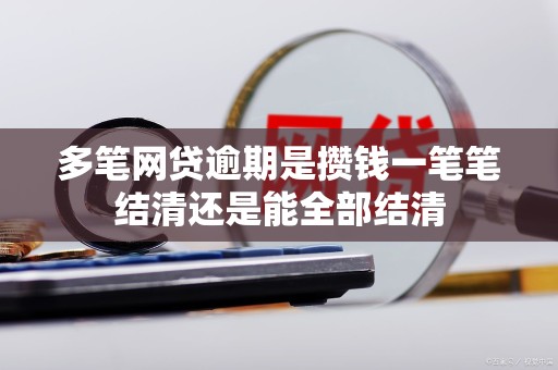 多笔网贷逾期是攒钱一笔笔结清还是能全部结清