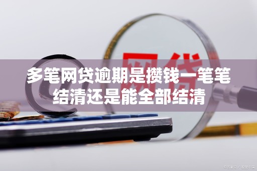 多笔网贷逾期是攒钱一笔笔结清还是能全部结清