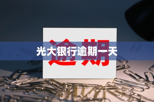 光大银行逾期一天
