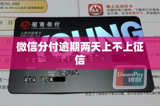 微信分付逾期两天上不上征信