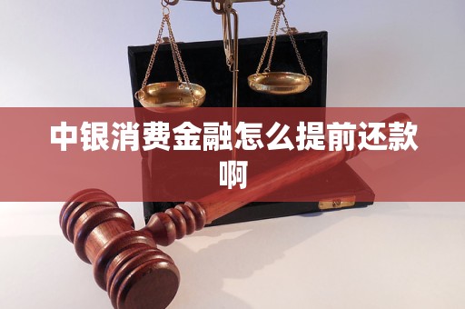 中银消费金融怎么提前还款啊