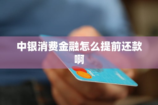 中银消费金融怎么提前还款啊