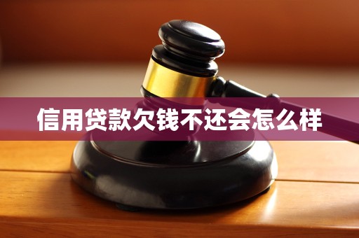 信用贷款欠钱不还会怎么样