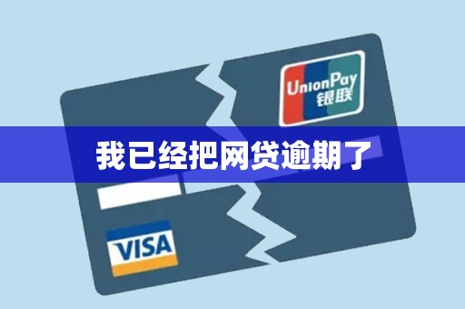 我已经把网贷逾期了