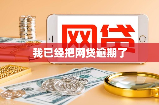 我已经把网贷逾期了