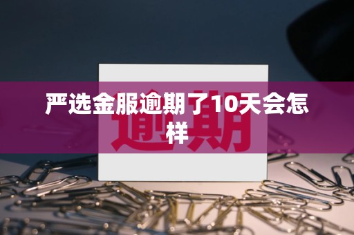严选金服逾期了10天会怎样