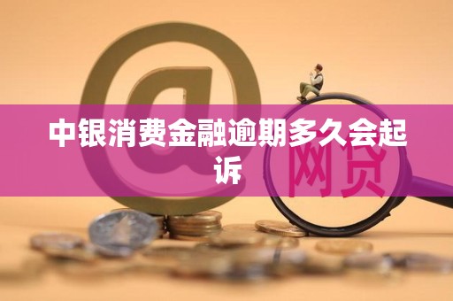 中银消费金融逾期多久会起诉