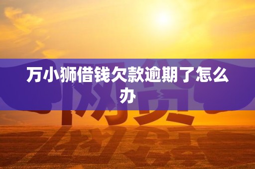 万小狮借钱欠款逾期了怎么办 万小狮借钱欠款逾期了怎么办