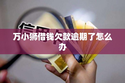 万小狮借钱欠款逾期了怎么办 万小狮借钱欠款逾期了怎么办
