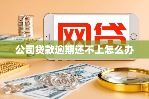 公司贷款逾期还不上怎么办