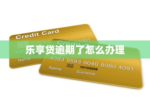 乐享贷逾期了怎么办理