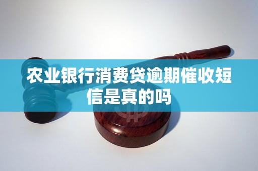 农业银行消费贷逾期催收短信是真的吗 农业银行消费贷逾期催收短信是真的吗