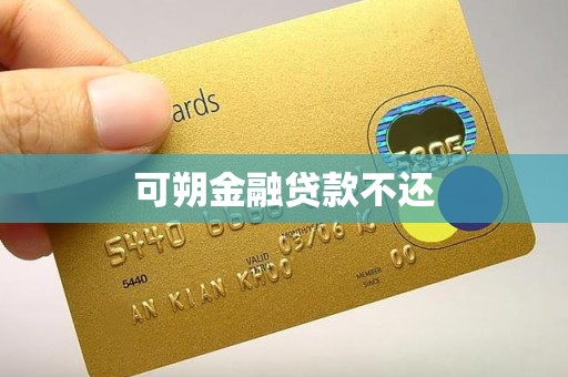 可朔金融贷款不还