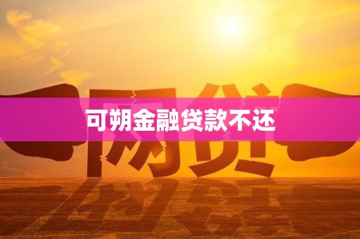 可朔金融贷款不还