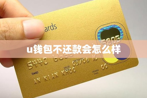u钱包不还款会怎么样