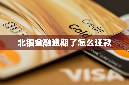 北银金融逾期了怎么还款 北银金融逾期了怎么还款