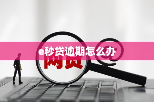 e秒贷逾期怎么办 e秒贷逾期怎么办