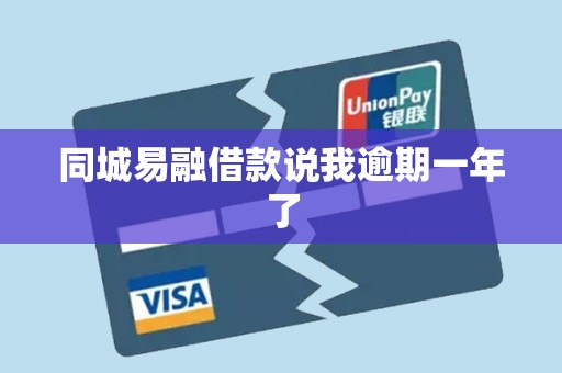 同城易融借款说我逾期一年了