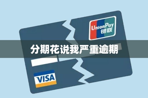 分期花说我严重逾期