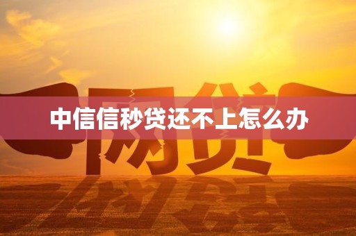 中信信秒贷还不上怎么办 中信信秒贷还不上怎么办