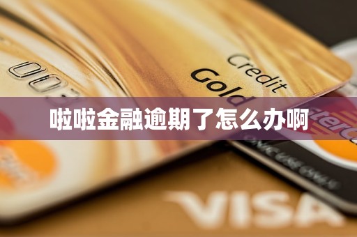啦啦金融逾期了怎么办啊 啦啦金融逾期了怎么办啊