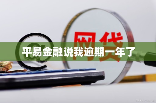 平易金融说我逾期一年了 平易金融说我逾期一年了