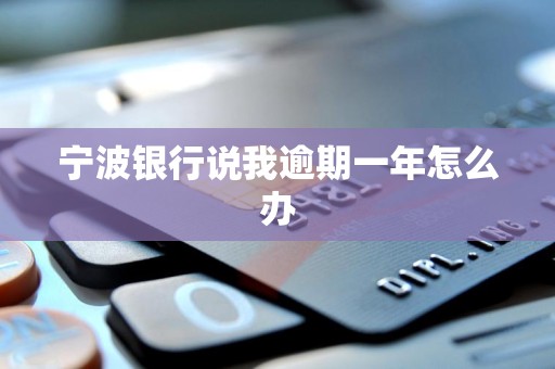 宁波银行说我逾期一年怎么办