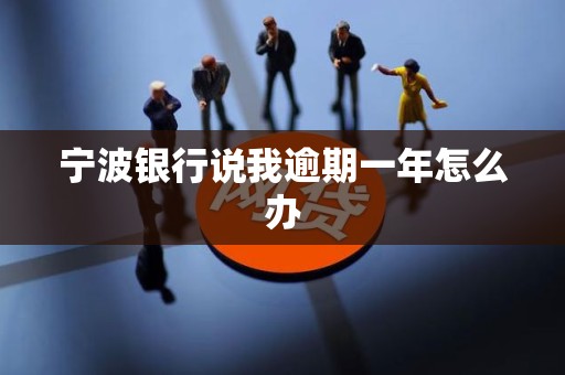 宁波银行说我逾期一年怎么办