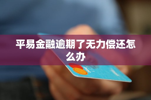 平易金融逾期了无力偿还怎么办