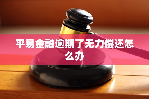 平易金融逾期了无力偿还怎么办