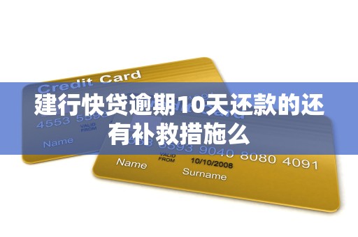 建行快贷逾期10天还款的还有补救措施么