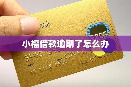 小福借款逾期了怎么办 小福借款逾期了怎么办
