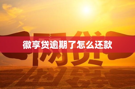 徽享贷逾期了怎么还款 徽享贷逾期了怎么还款