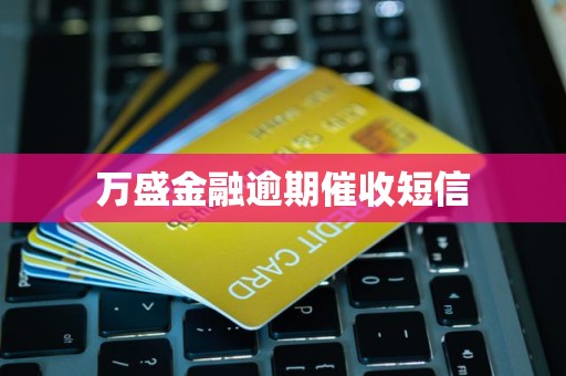 万盛金融逾期催收短信