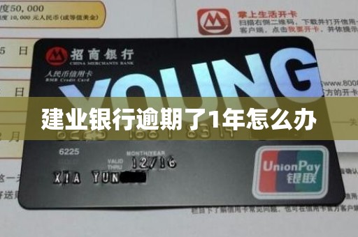 建业银行逾期了1年怎么办 建业银行逾期了1年怎么办