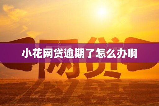 小花网贷逾期了怎么办啊 小花网贷逾期了怎么办啊
