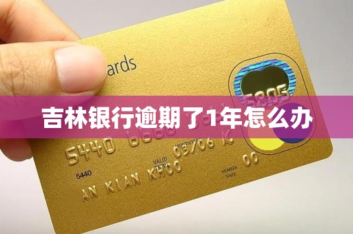 吉林银行逾期了1年怎么办