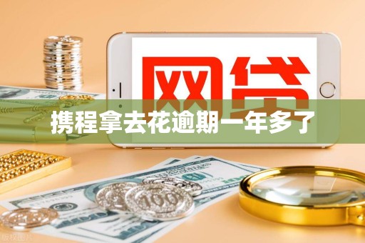 携程拿去花逾期一年多了