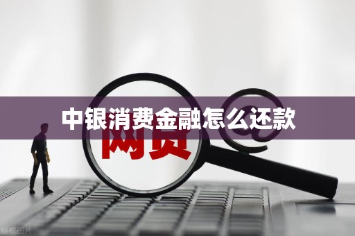 中银消费金融怎么还款 中银消费金融怎么还款