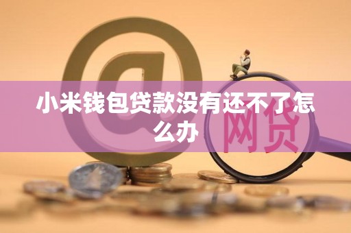 小米钱包贷款没有还不了怎么办 小米钱包贷款没有还不了怎么办