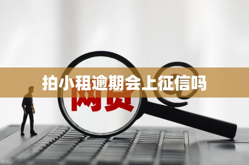 拍小租逾期会上征信吗