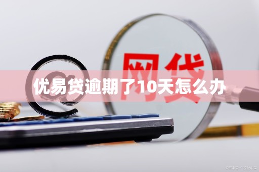 优易贷逾期了10天怎么办