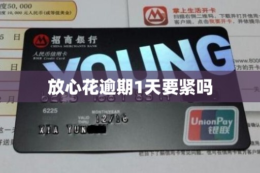 放心花逾期1天要紧吗