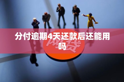 分付逾期4天还款后还能用吗